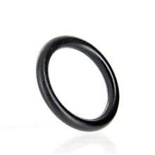 Can Am O Ring 420230456