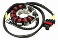 Can Am 850w Stator Plate 420686363
